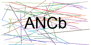 Verificação para Humanos
