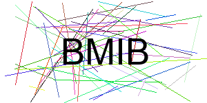 Verificação para Humanos