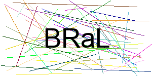 Verificação para Humanos