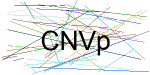 Verificação para Humanos
