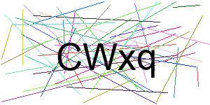 Verificação para Humanos