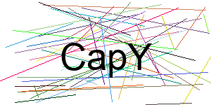 Verificação para Humanos