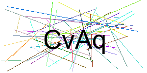 Verificação para Humanos