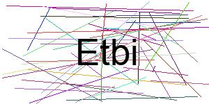 Verificação para Humanos