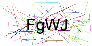 Verificação para Humanos