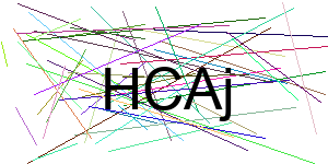 Verificação para Humanos