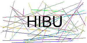 Verificação para Humanos