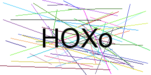 Verificação para Humanos