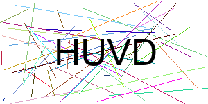 Verificação para Humanos