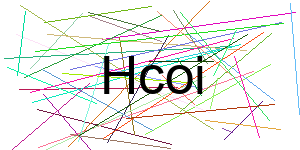 Verificação para Humanos