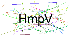 Verificação para Humanos
