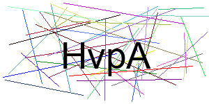 Verificação para Humanos