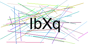 Verificação para Humanos