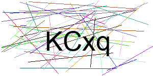 Verificação para Humanos