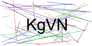 Verificação para Humanos