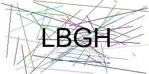 Verificação para Humanos