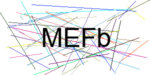 Verificação para Humanos