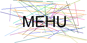 Verificação para Humanos