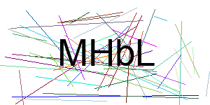 Verificação para Humanos