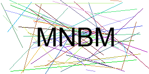 Verificação para Humanos