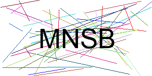 Verificação para Humanos