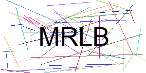Verificação para Humanos