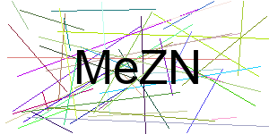 Verificação para Humanos