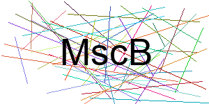 Verificação para Humanos