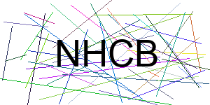 Verificação para Humanos