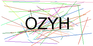 Verificação para Humanos