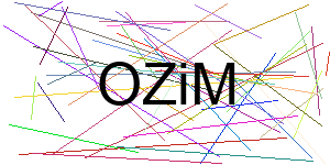 Verificação para Humanos