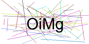 Verificação para Humanos