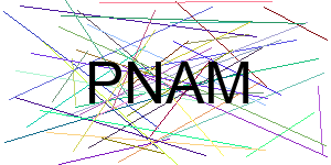 Verificação para Humanos