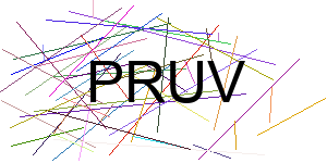 Verificação para Humanos