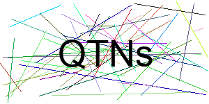 Verificação para Humanos