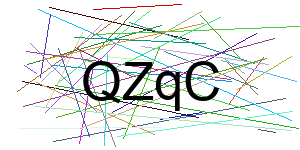 Verificação para Humanos