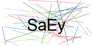 Verificação para Humanos