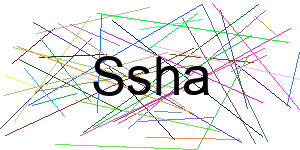 Verificação para Humanos