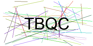 Verificação para Humanos