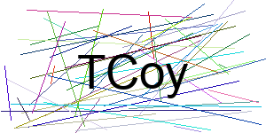 Verificação para Humanos