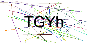 Verificação para Humanos