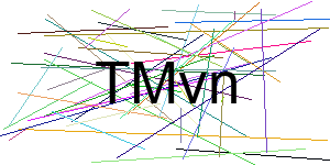 Verificação para Humanos