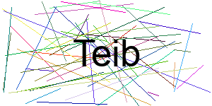 Verificação para Humanos