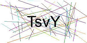 Verificação para Humanos