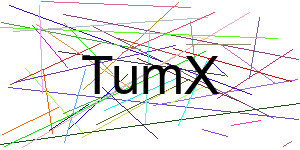 Verificação para Humanos