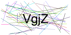 Verificação para Humanos