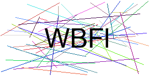 Verificação para Humanos