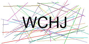 Verificação para Humanos