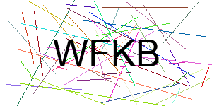 Verificação para Humanos