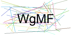 Verificação para Humanos